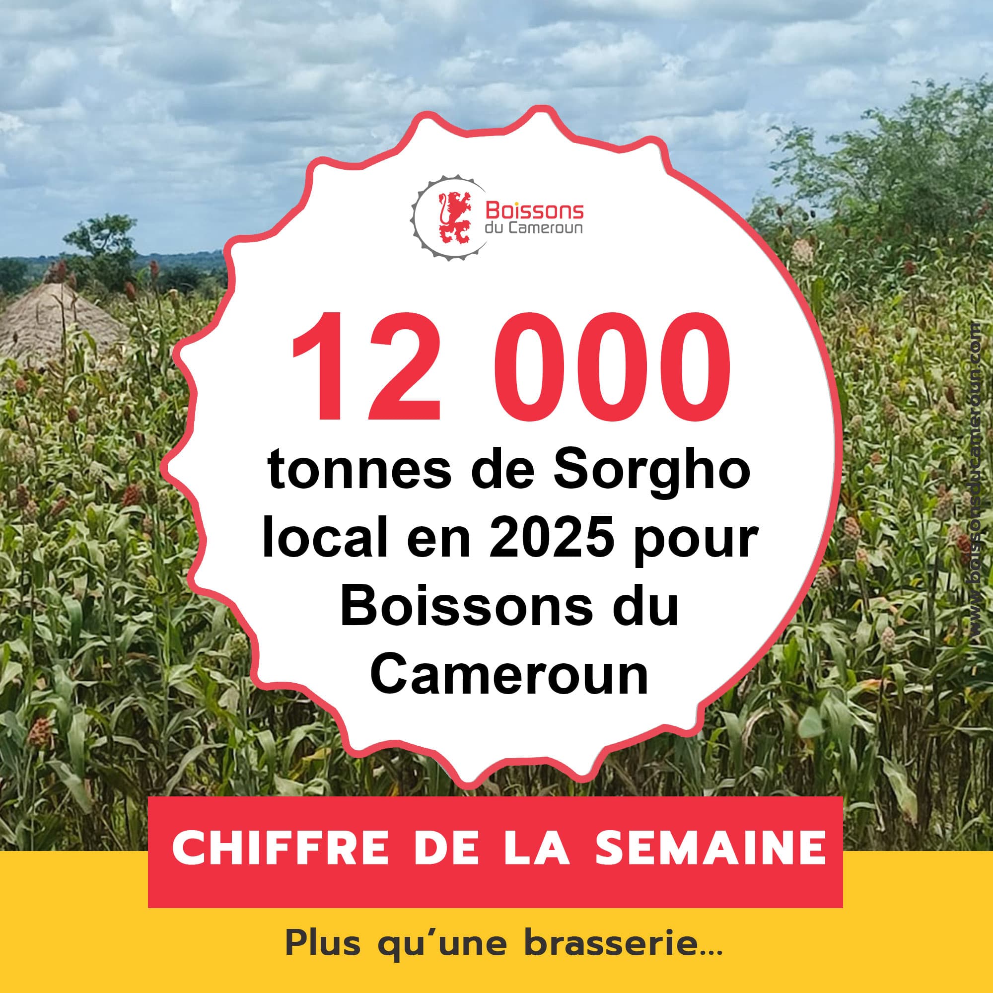 TOP — Brasseries du Cameroun (SABC) — 3